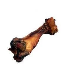 Dino Bone