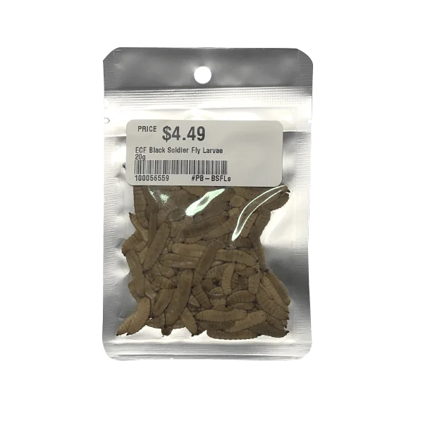 Eco Fresh Black Soldier Fly Larvae - 20 g