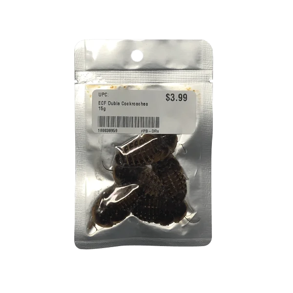 Eco Fresh Dubia Cockroaches - 15 g