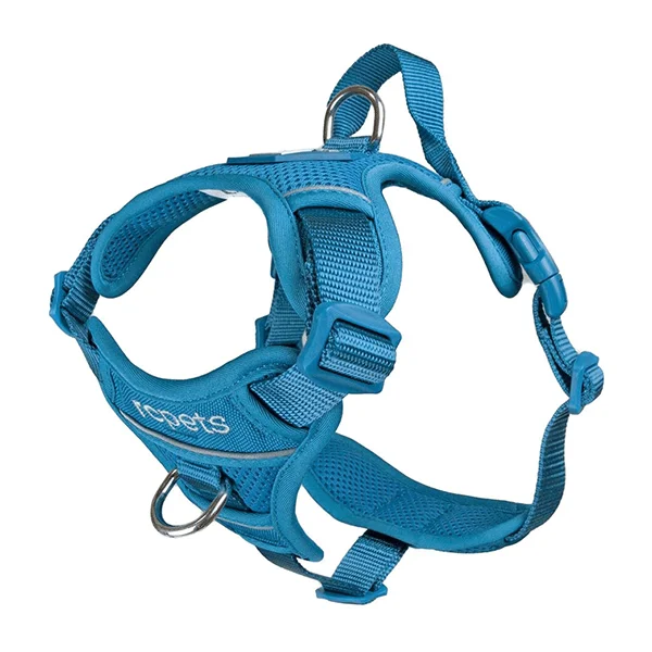 RC Pets Teal Momentum Control Harness - Available in 4 Sizes