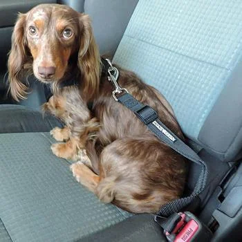 Seat Belt Strap Dog Car Leash from Doggie Design