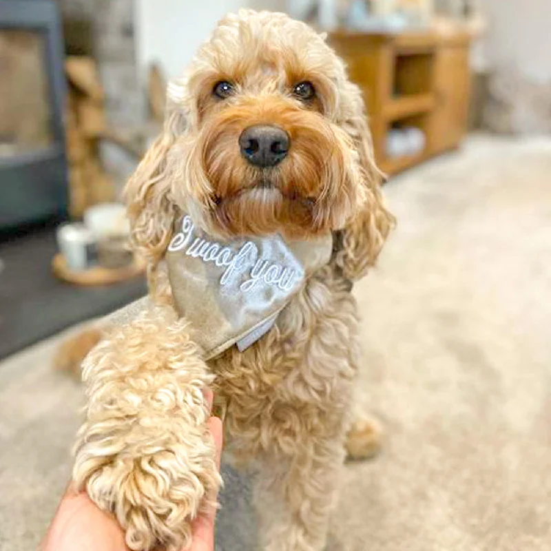 'I Woof You' Bandana in Mushroom Velvet by Lords & Labradors